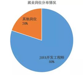 渤海大學中軟國際軟件與服務外包學院2018屆畢業生答辯圓滿結束