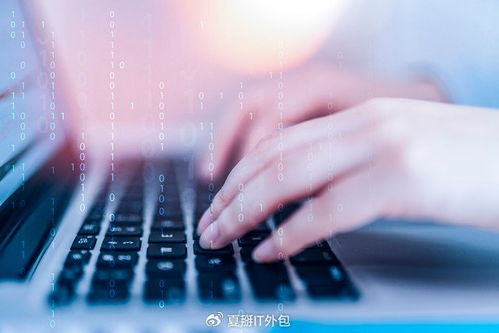 軟件開發板塊震蕩走強，IT運維外包迎發展新機遇